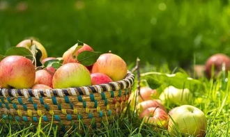 农村电商发展趋势报告 农货上行推动中国农村深层次变革——以食用农产品为核心